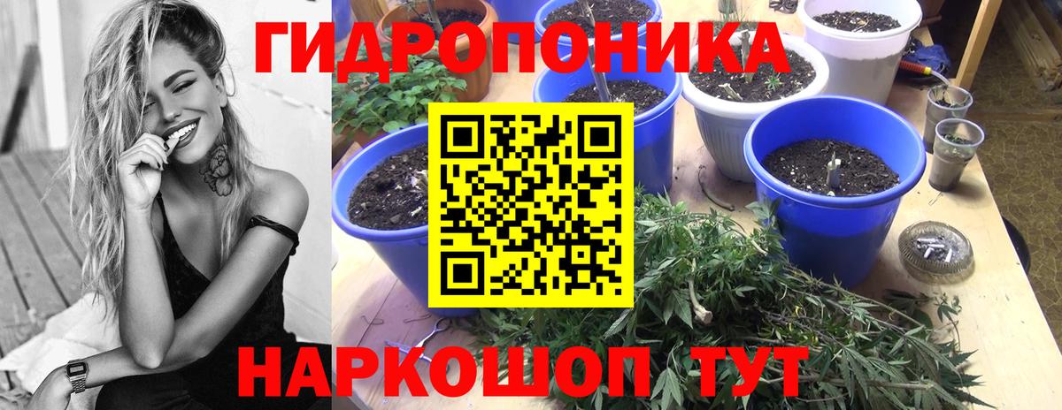 Пугачёв  Бошки Шишки индика  Бошки Шишки THC 21%  Вход с VPN  Шишки марихуана Bruce Banner 